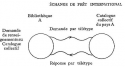 Vignette aperçu du document