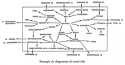 Vignette aperçu du document