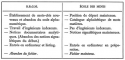 Vignette aperçu du document