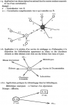 Vignette aperçu du document