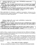 Vignette aperçu du document