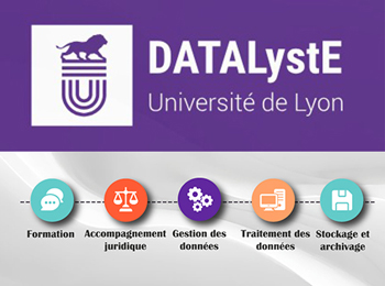 visuel datalyste
