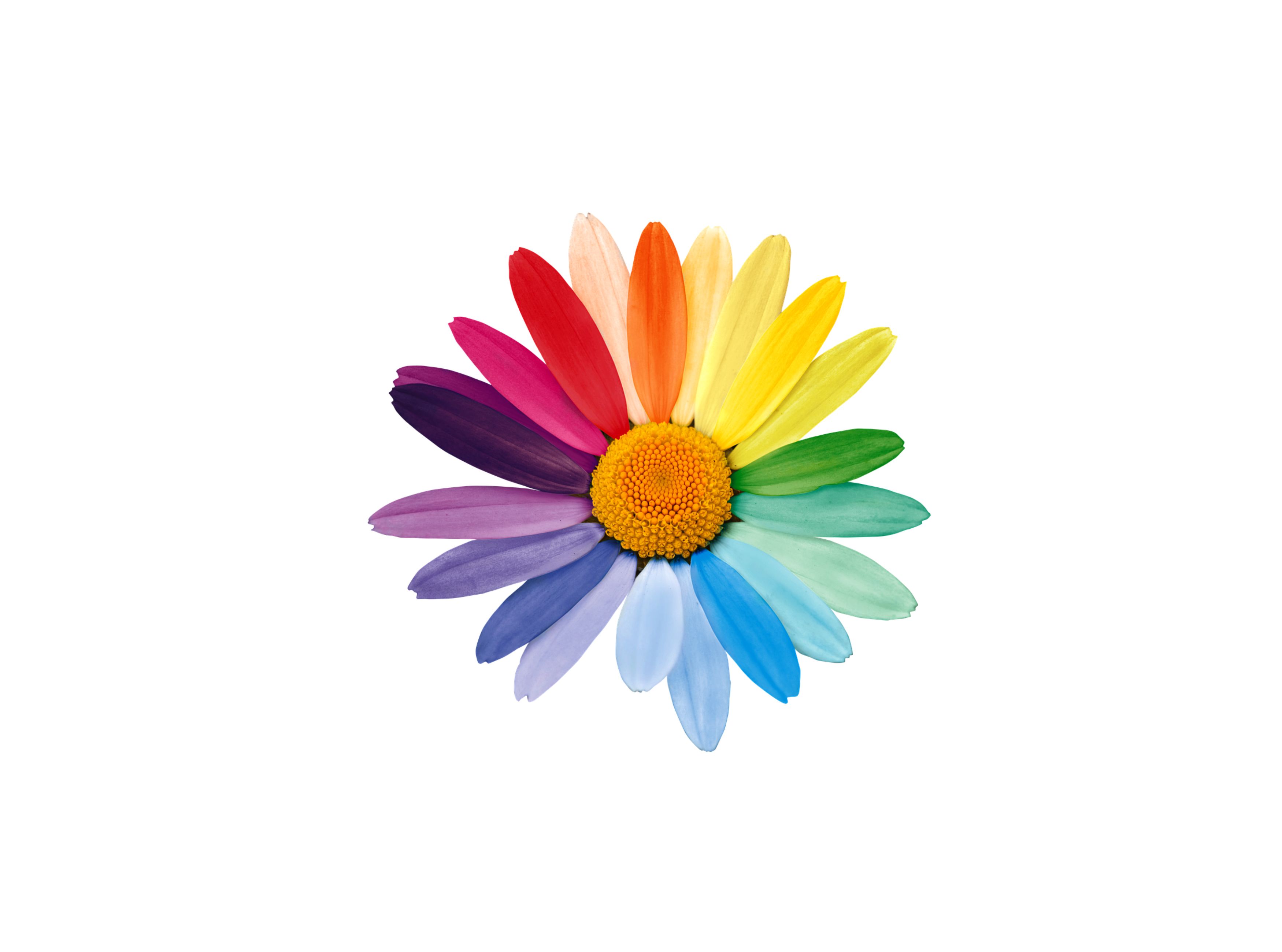 Lutte contre les discriminations