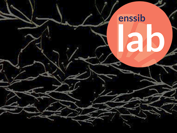 biennale du numerique