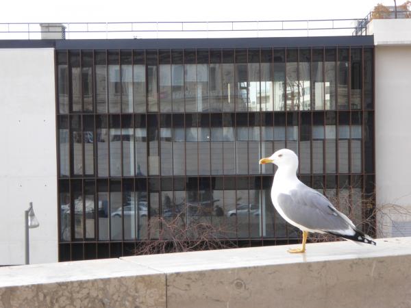 vue sur la façade côté gare de la bibliothèque