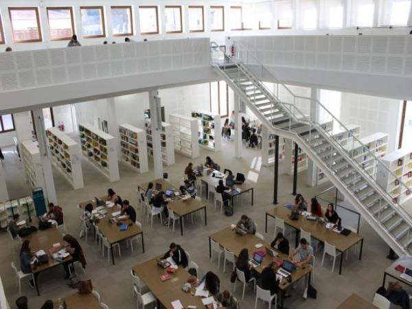 vue d'ensemble de l'espace lecture de la bibliothèque