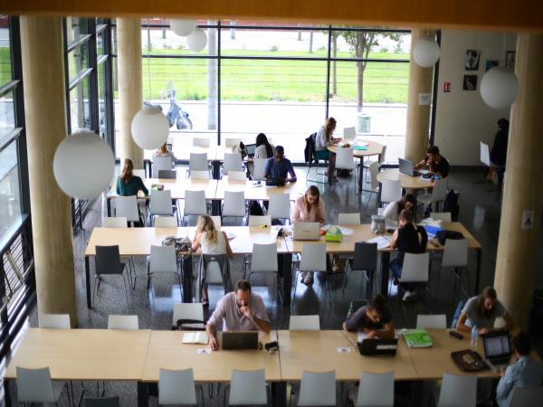 vue de l'espace travail de la bibliothèque