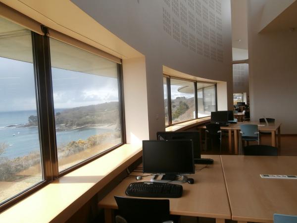 vue de la salle de lecture de la bibliothèque