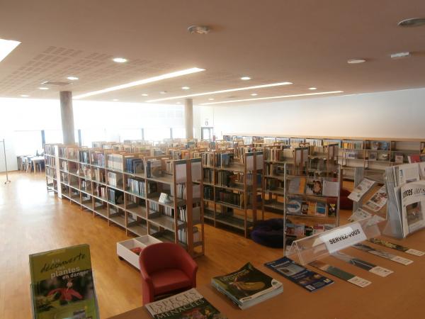vue des collections en salle de lecture de la bibliothèque